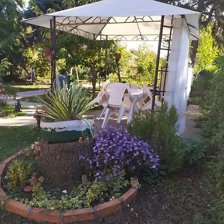 Apartment Ljupka Pancevo